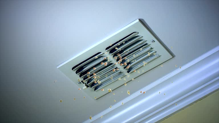 Reliable North Augusta, SC Airduct Cleaning Solutions